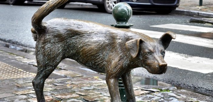 «Писающая собачка» в Брюсселе — где находится и как добраться